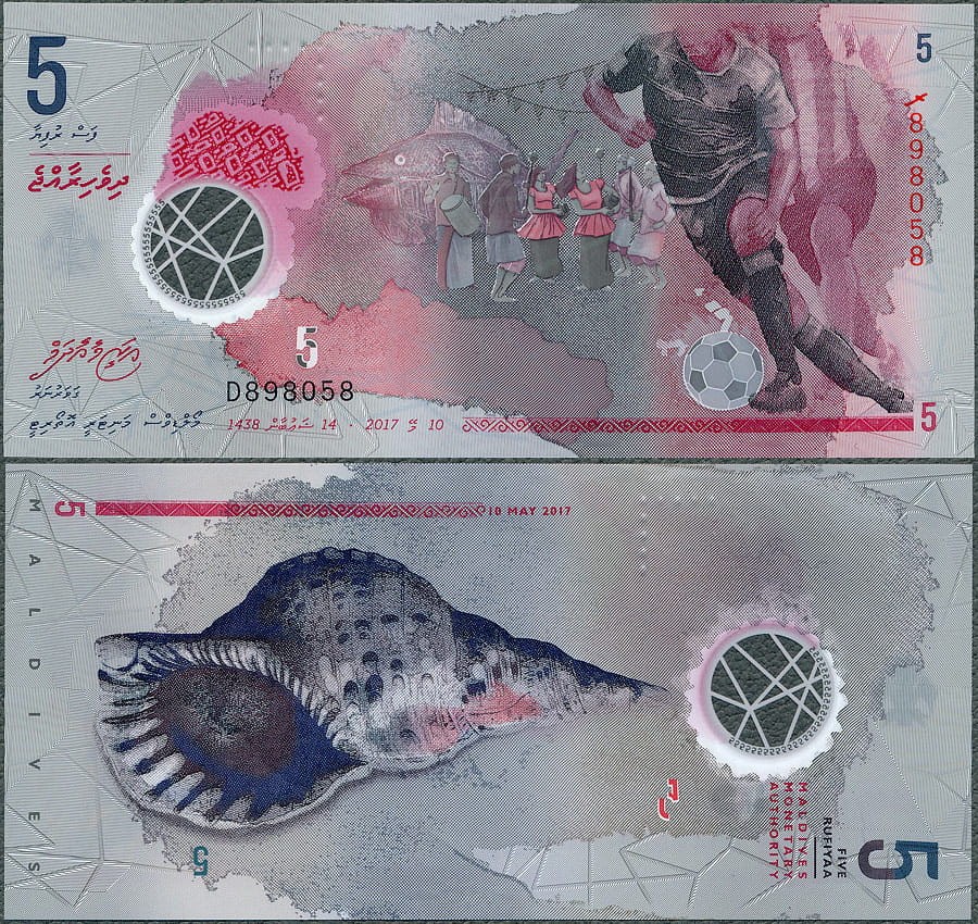 MDR5_17.jpg