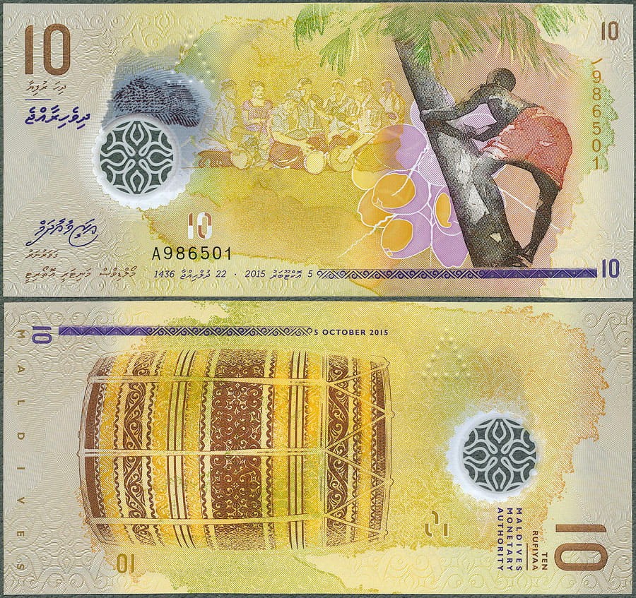 MDR10_15.jpg
