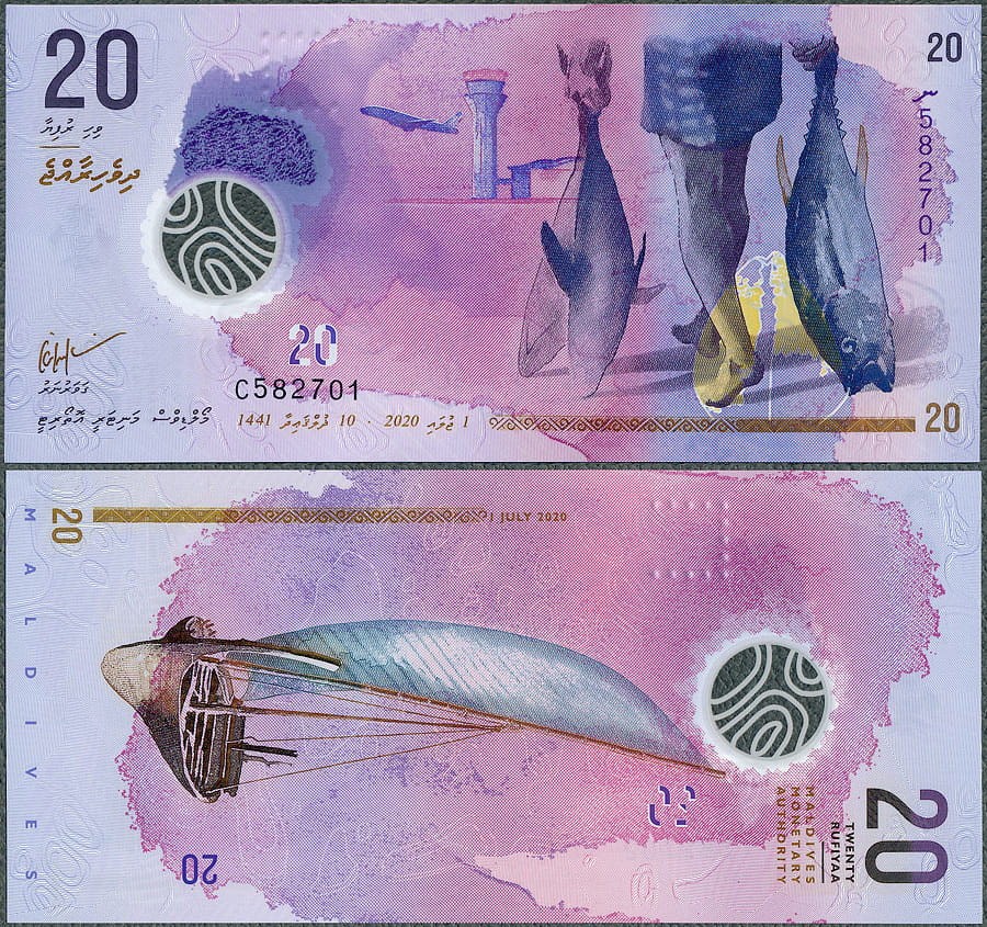 MDR20_20.jpg