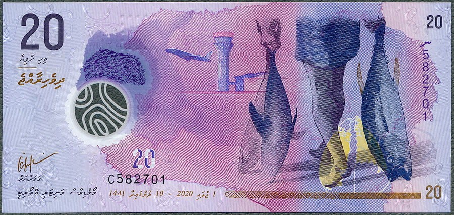 MDR20_20A.jpg
