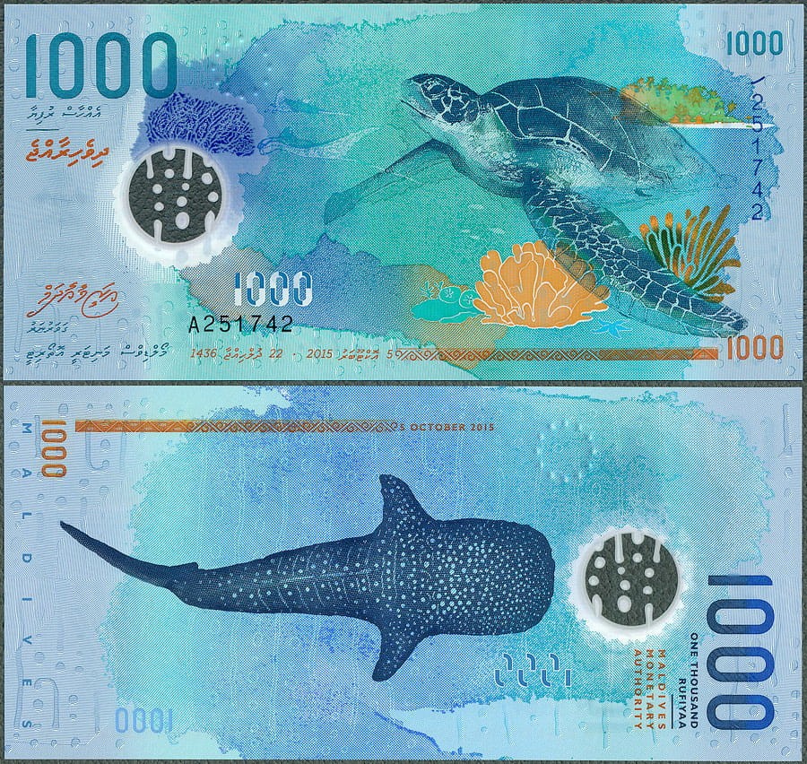 MDR1000_15.jpg