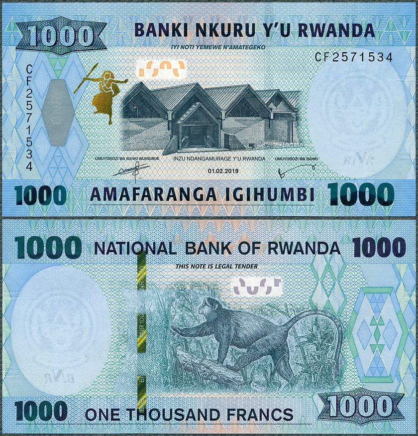 RWF1000_19.jpg
