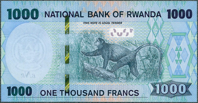RWF1000_19R.jpg