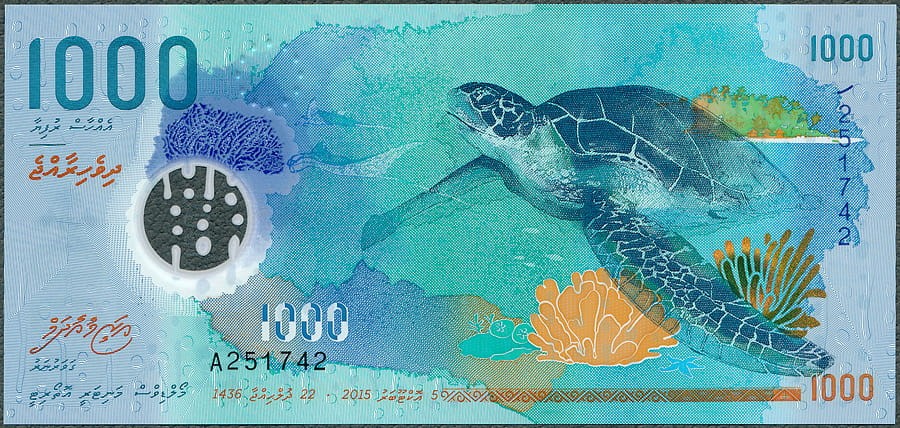 MDR1000_15A.jpg