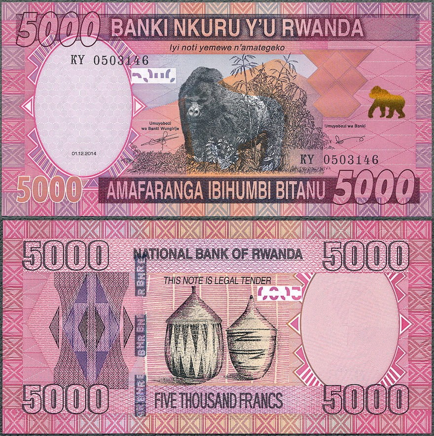 RWF5000_14.jpg