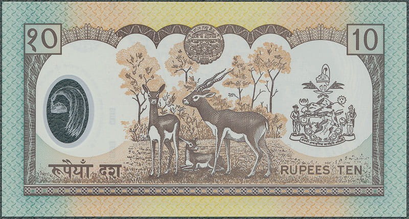 NPR10_02R.jpg