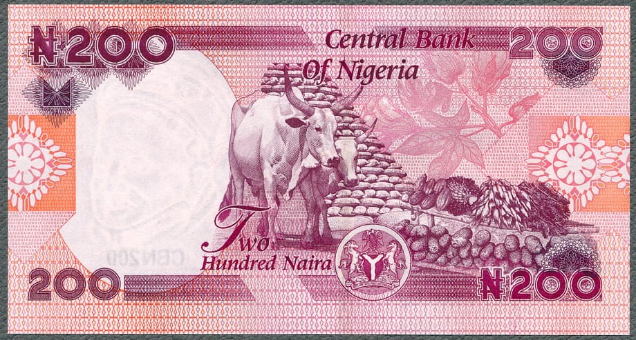 NIR200_22R.jpg