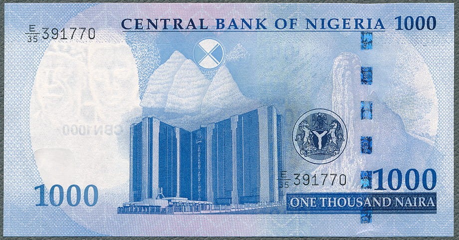 NIR1000_22R.jpg