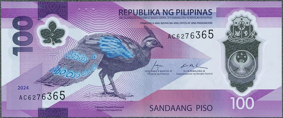 PPP100_24A.jpg