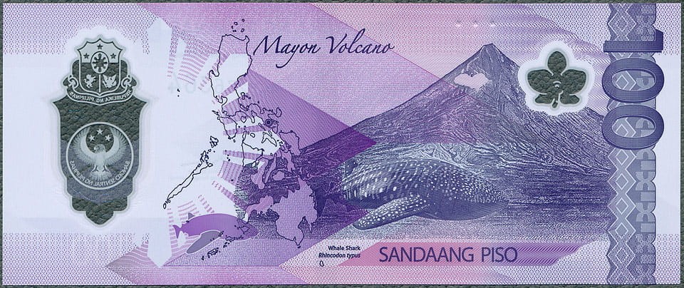 PPP100_24R.jpg