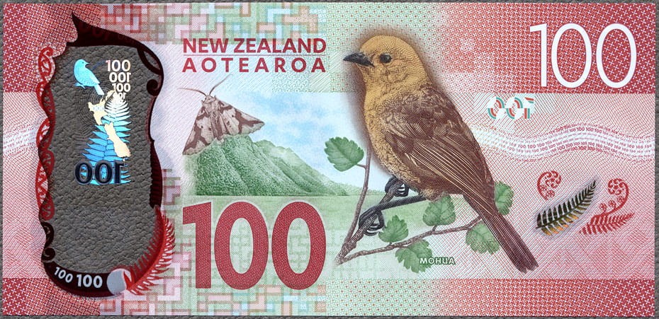 NZD100_18R.jpg