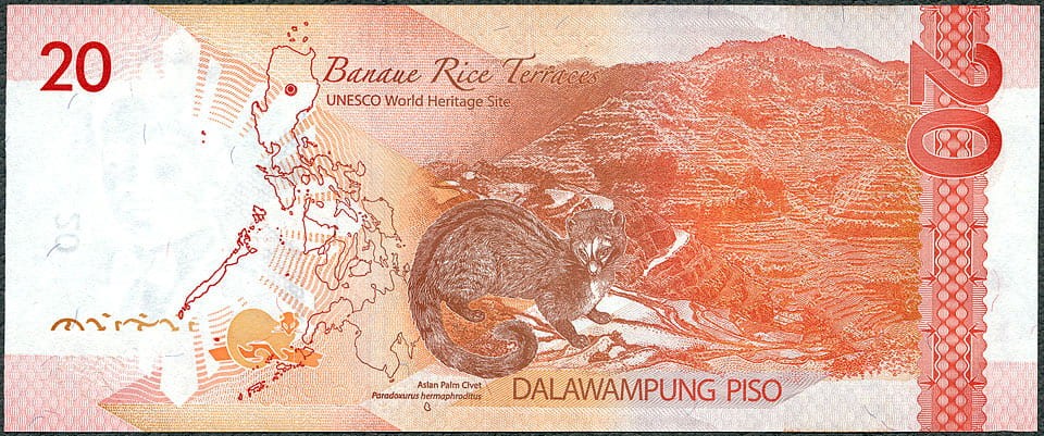 PPP20_20R.jpg