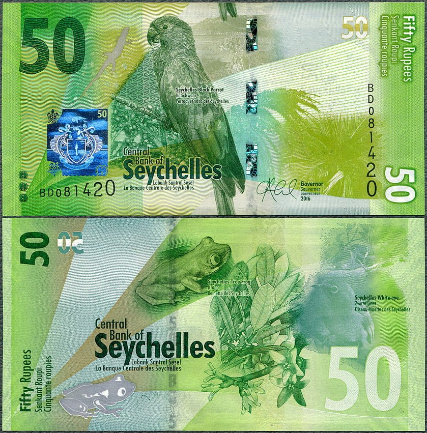 SYR50_16.jpg
