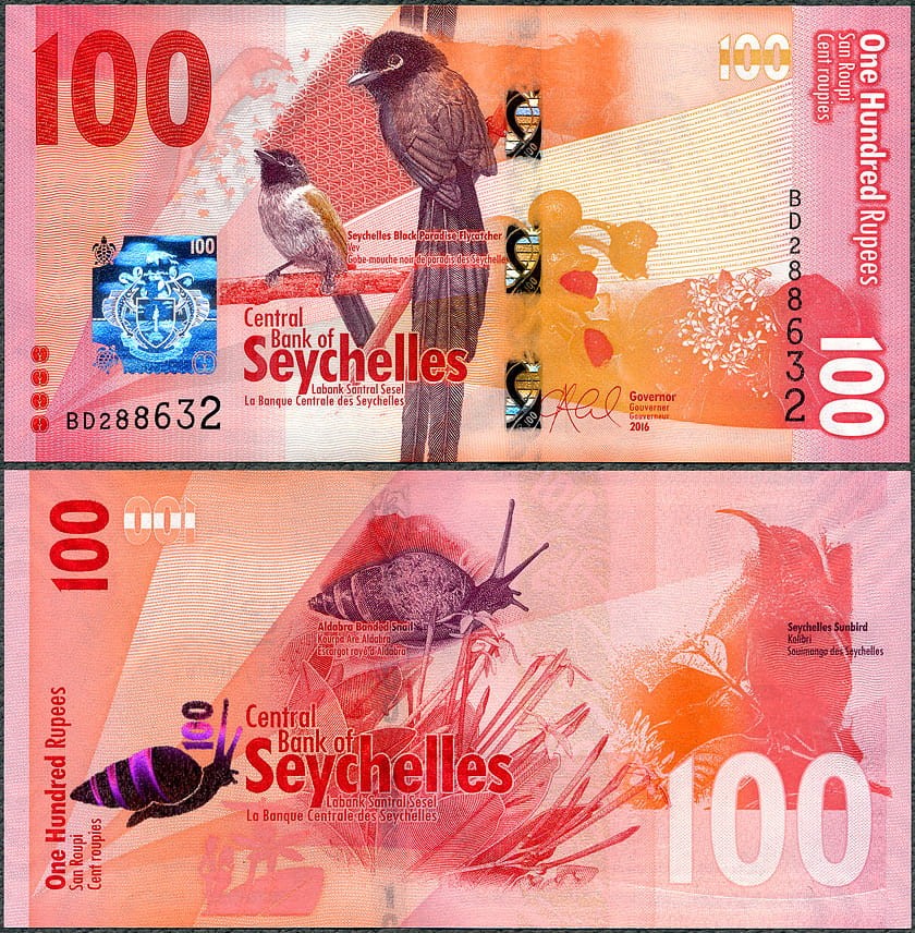 SYR100_16.jpg