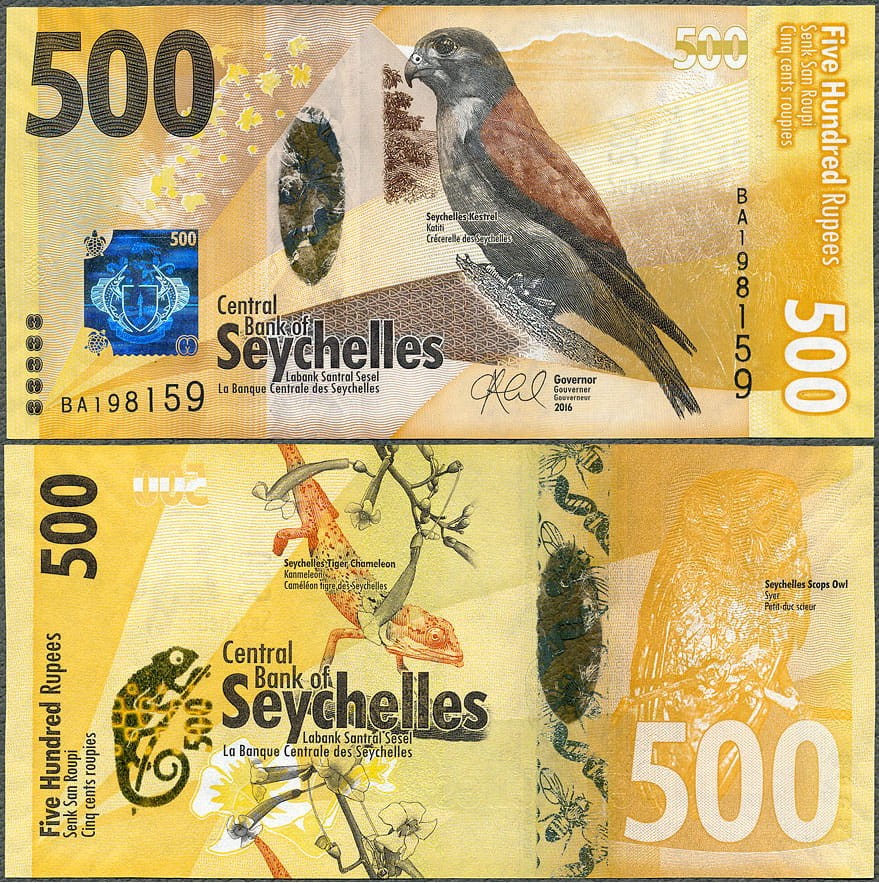 SYR500_16.jpg