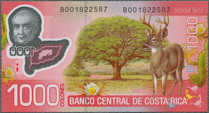 CRC1000_17R.jpg