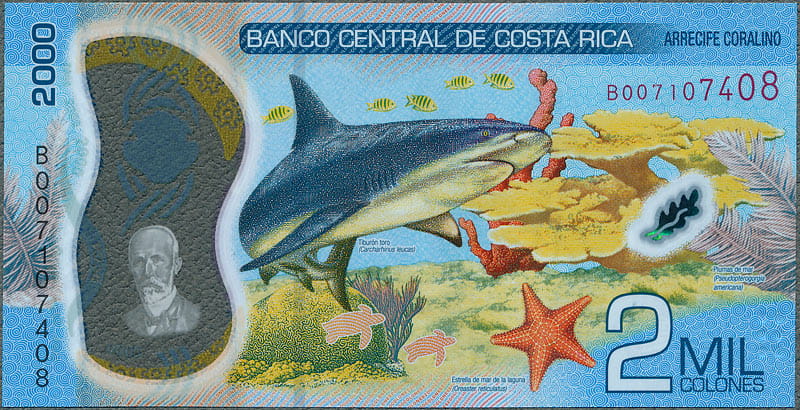 CRC2000_18R.jpg