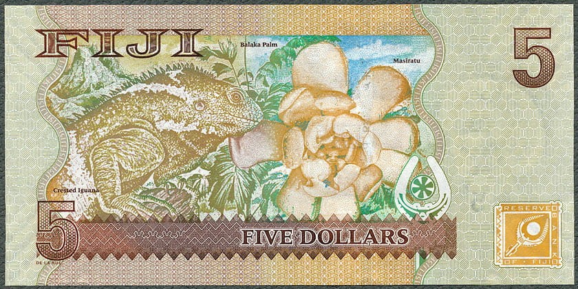FID5_11R.jpg