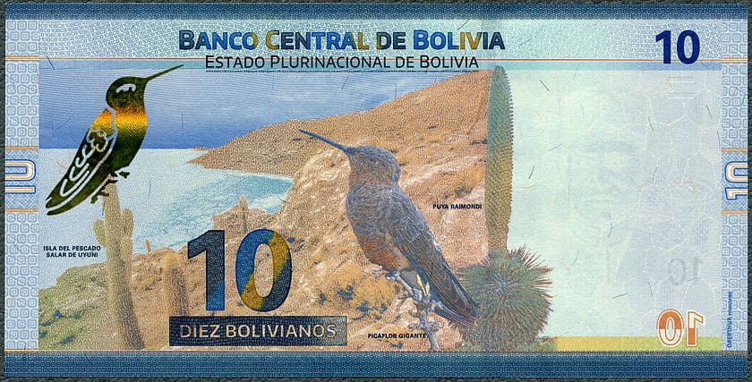 BOL10_24R.jpg