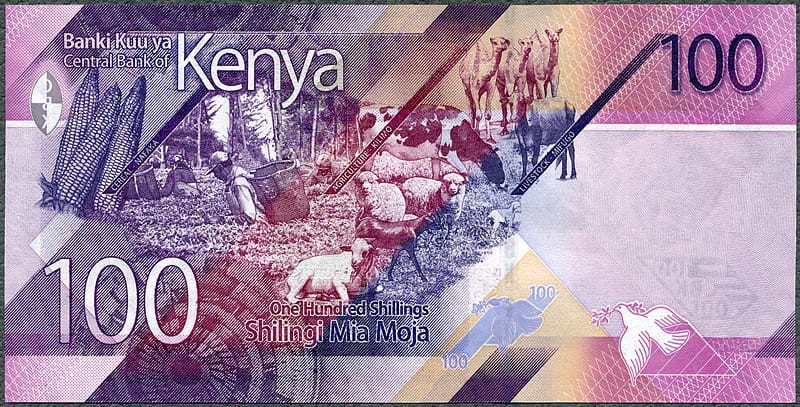 KES100_19R.jpg
