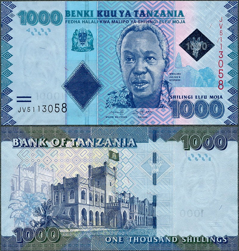 TZS1000_19.jpg
