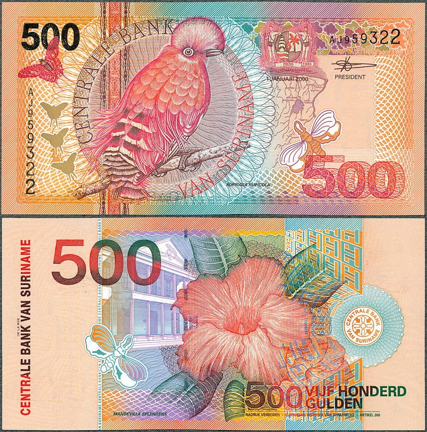 SUG500_00.jpg