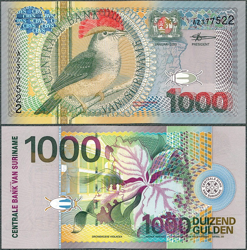 SUG1000_00.jpg