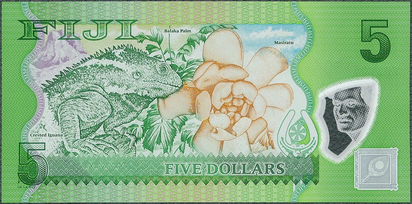 FID5_13R.jpg