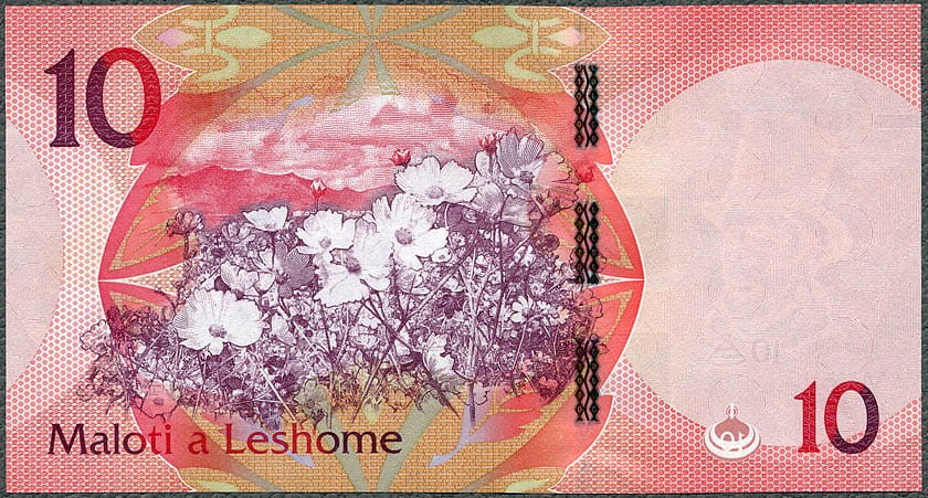 LEM10_21R.jpg