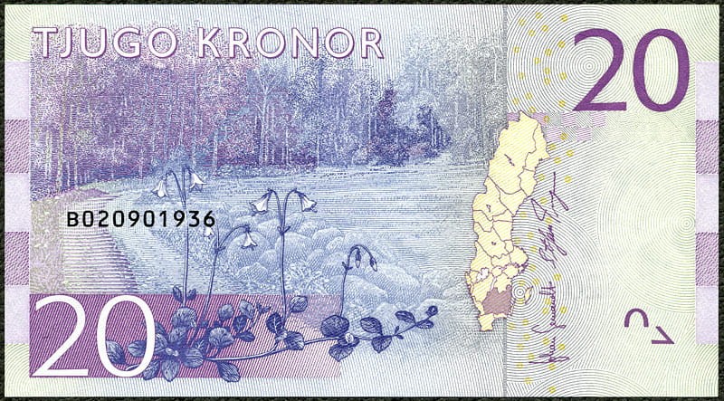 SEK20_15R.jpg