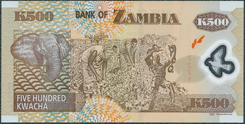 ZAK500_11R.jpg