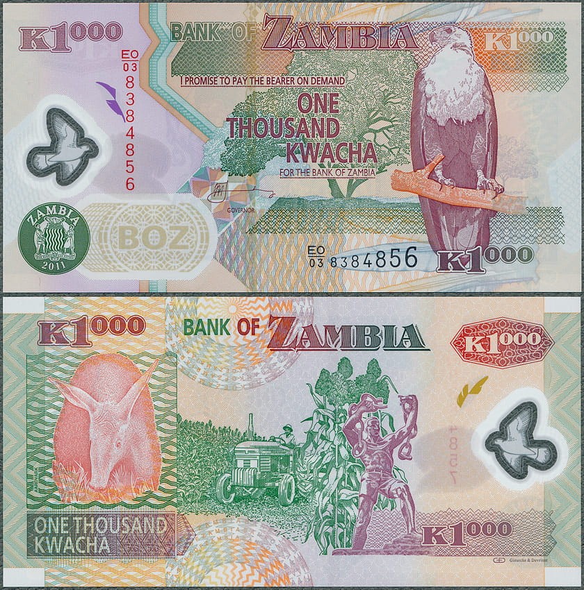 ZAK1000_11.jpg