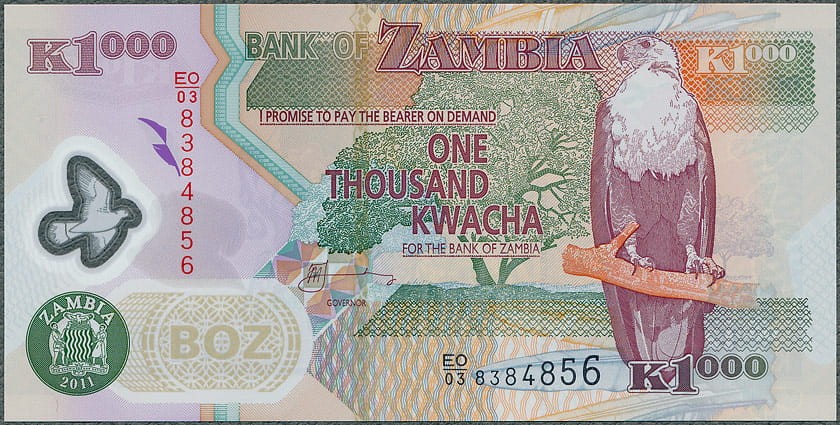 ZAK1000_11A.jpg