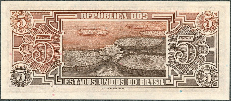 BRC5_62R.jpg