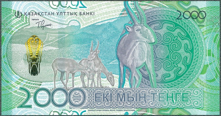 KZT2000_24R.jpg