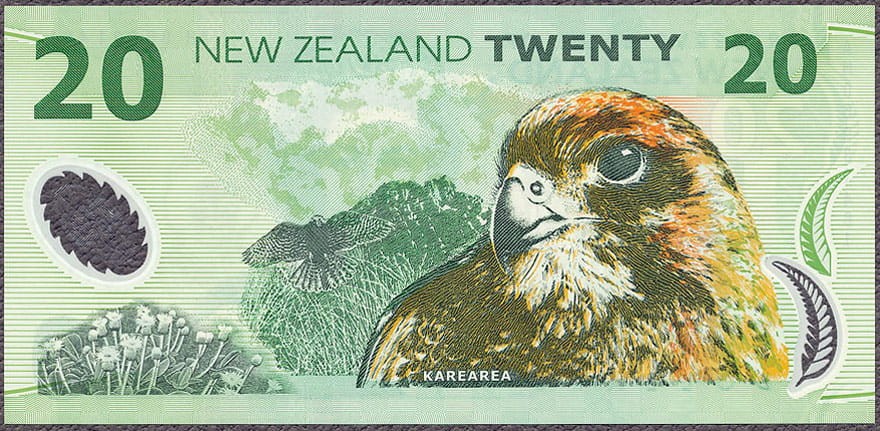 NZD20_99R.jpg