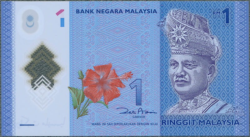 MYR1_12A.jpg
