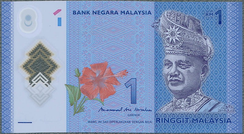 MYR1_17A.jpg