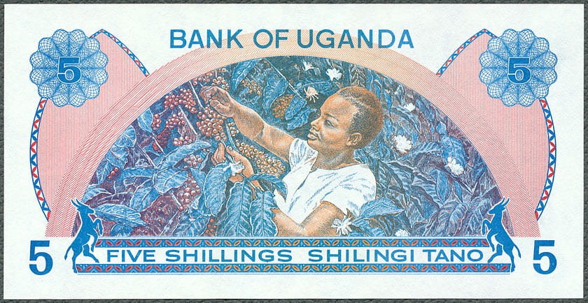 UGS5_79R.jpg