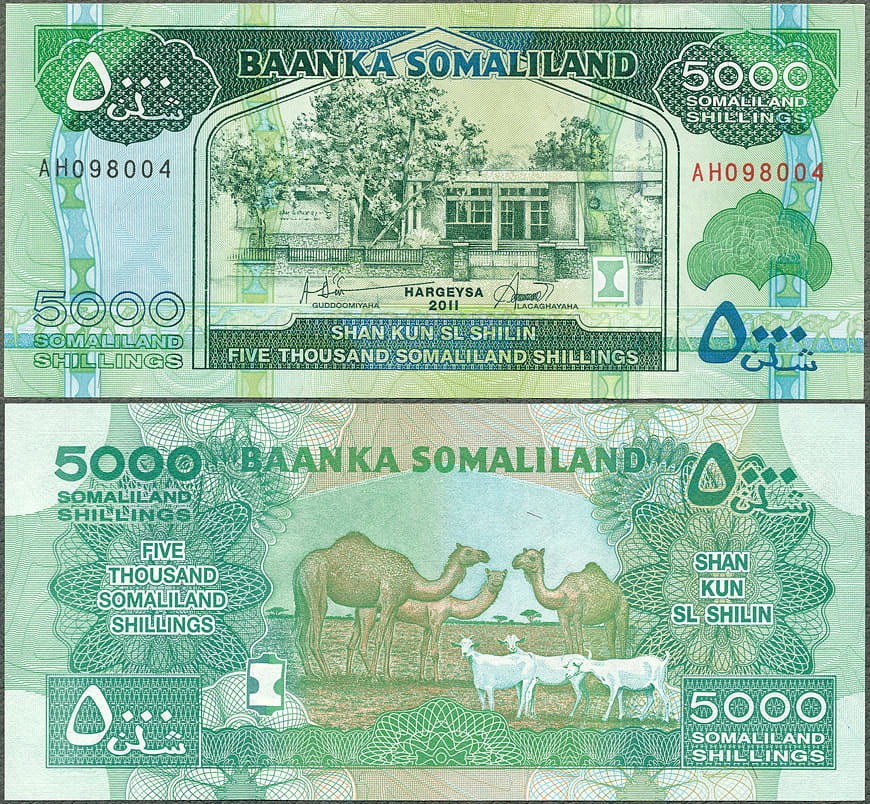 SMD5000_11.jpg