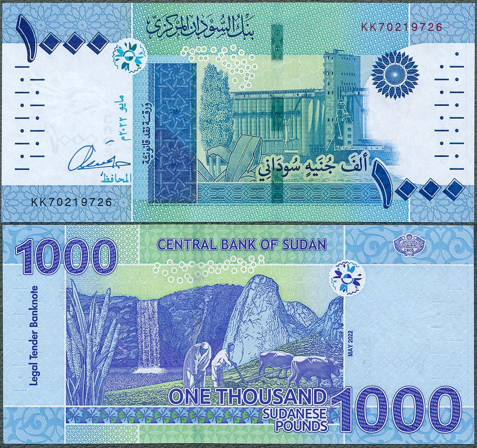 SUP1000_22.jpg