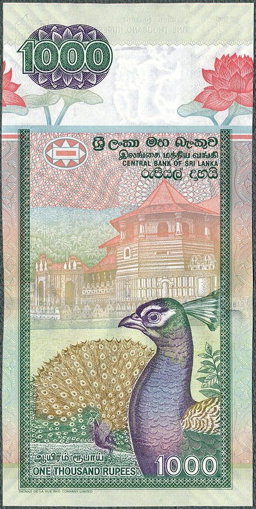 LAR1000_06R.jpg