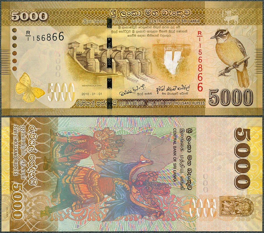 LAR5000_10.jpg