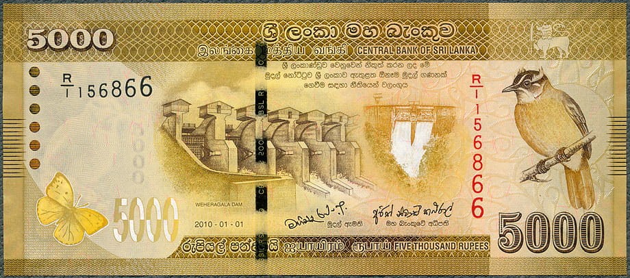 LAR5000_10A.jpg