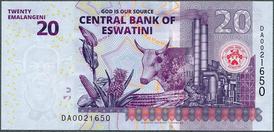 ESW20_24R.jpg