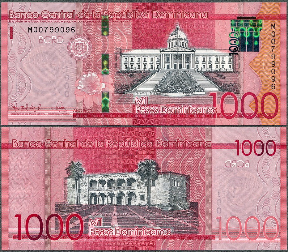 DMP1000_23.jpg