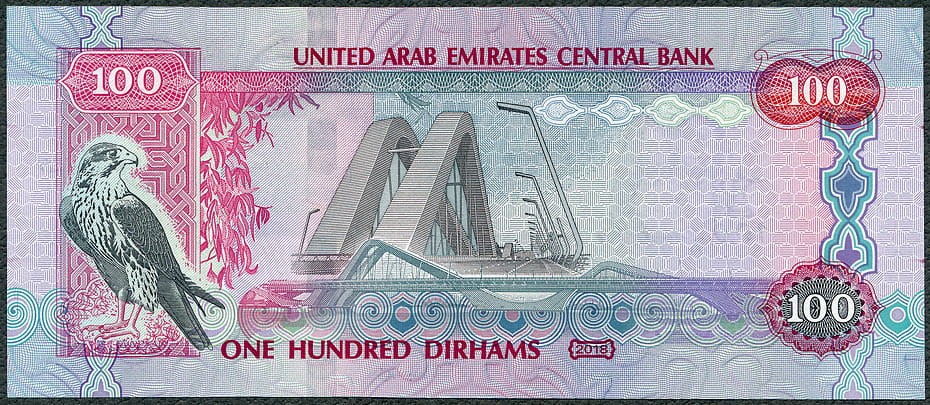 UAE100_C18R.jpg