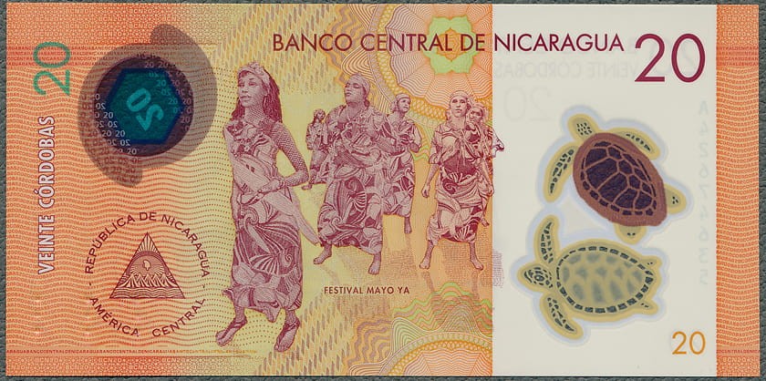 NIC20_19R.jpg