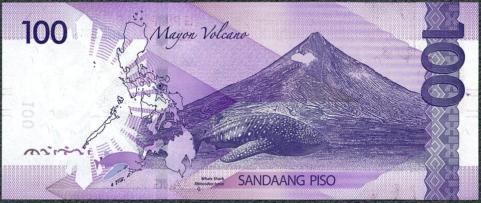 PPP100_24AR.jpg