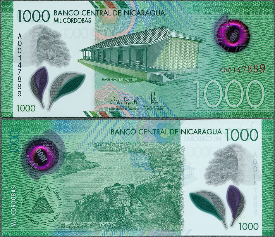 NIC1000_17.jpg